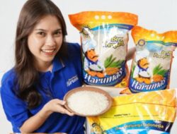 Beras Label Premium Masih Beredar di Batam, Pengusaha Abaikan Keputusan Pemerintah