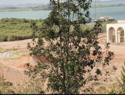 Pematangan Lahan di Galang Disorot, Warga Desak Aparat Usut Dugaan Pelanggaran Lingkungan